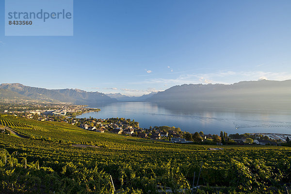 Landschaftlich schön  landschaftlich reizvoll  Europa  Berg  Wolke  Landschaft  Stadt  Großstadt  See  Herbst  Genfer See  Genfersee  Lac Leman  Schweiz