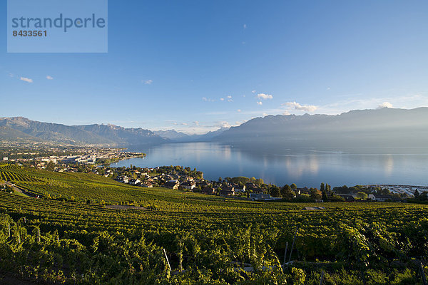 Landschaftlich schön  landschaftlich reizvoll  Europa  Berg  Wolke  Wein  Landschaft  Stadt  Großstadt  See  Herbst  Genfer See  Genfersee  Lac Leman  Schweiz