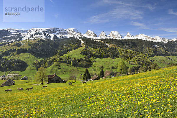 Europa Berg Dorf Schweiz