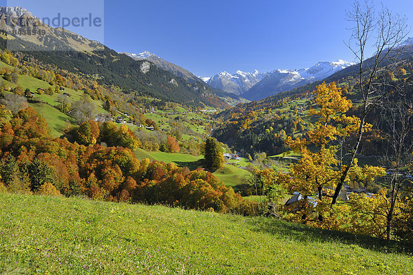 Landschaftlich schön landschaftlich reizvoll Europa Berg Tal Herbst Kanton Graubünden Schweiz