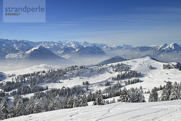 Europa Winter Alpen Ansicht Luzern Schnee Schweiz Zentralschweiz Nebelmeer