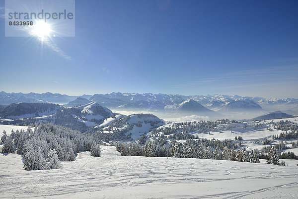 Europa Winter Alpen Ansicht Luzern Schnee Sonne Schweiz Zentralschweiz Nebelmeer