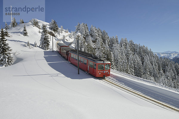 Europa Schneedecke Winter Schnee Fernverkehrsstraße Zug rot Ansicht Tanne Schotterstrasse Luzern Schweiz
