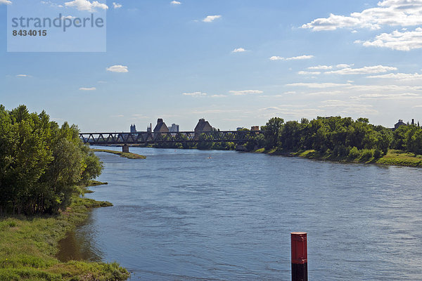 Panorama  Landschaftlich schön  landschaftlich reizvoll  Wasser  Europa  Baum  Gebäude  Brücke  Pflanze  fließen  Fluss  Deutschland  Magdeburg  Sachsen-Anhalt