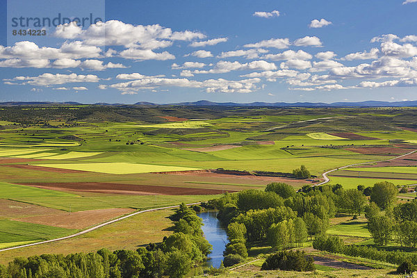 Farbaufnahme  Farbe  Europa  Wolke  Kontrast  Landschaft  Landwirtschaft  Reise  bunt  Fluss  Feld  Tourismus  Soria  Spanien