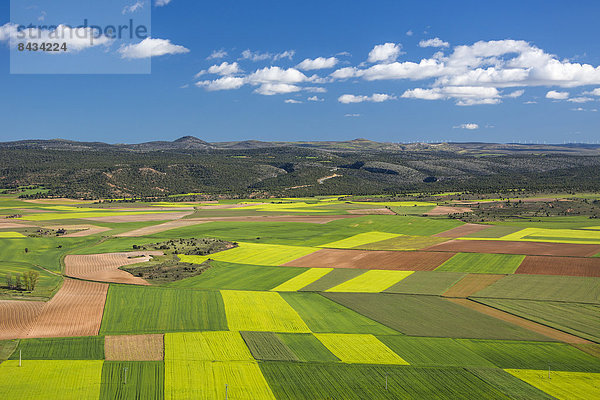 Farbaufnahme  Farbe  Europa  Wolke  Kontrast  Landschaft  Landwirtschaft  Reise  bunt  Feld  Tourismus  Soria  Spanien