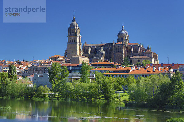 Europa  grün  Reise  Spiegelung  Großstadt  Architektur  Geschichte  Fluss  Kathedrale  Tourismus  UNESCO-Welterbe  Kastilien-Leon  Salamanca  Spanien
