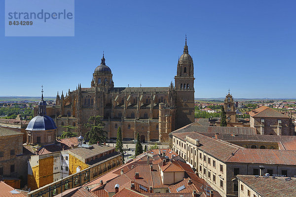 Europa  Landschaft  Reise  Großstadt  Architektur  Geschichte  Wahrzeichen  Turm  Kathedrale  Tourismus  UNESCO-Welterbe  alt  Salamanca  Spanien