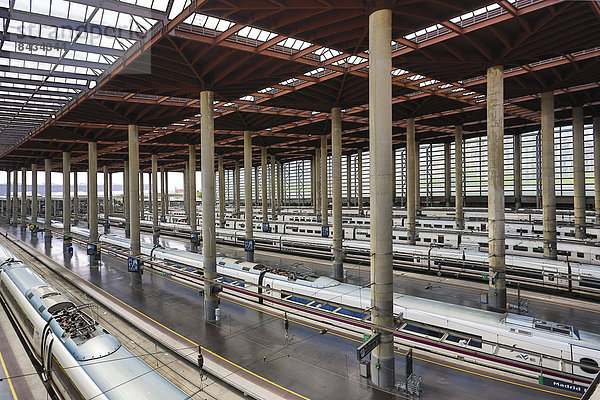 Madrid  Hauptstadt  Europa  Plattform  Großstadt  Architektur  groß  großes  großer  große  großen  Zug  neu  Spanien  Haltestelle  Haltepunkt  Station