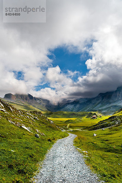 Landschaft  Weg  Landwirtschaft  Alpen  Wanderweg  Schweiz
