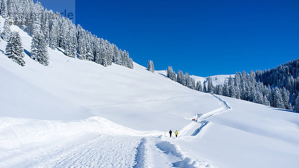 Winter Weg Amden Wanderweg Schnee Schweiz Tourismus