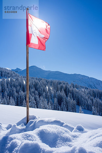 Schweizer Flagge Schweizer Flaggen Winter Fahne Amden Schnee Schweiz Tourismus