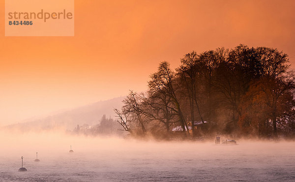 Kälte  Winter  Wärme  Landschaft  See  Natur  Nebel  Kanton Aargau  Schweiz  Tourismus
