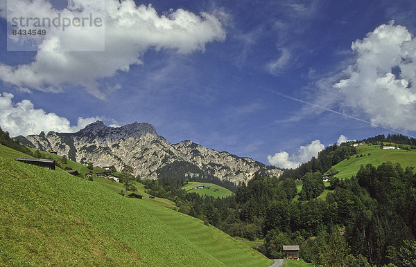 blauer Himmel  wolkenloser Himmel  wolkenlos  Europa  Berg  Wolke  Himmel  Hügel  Steilküste  Landwirtschaft  Tal  Alpen  blau  Wiese  steil  Österreich  Salzburg  Hang