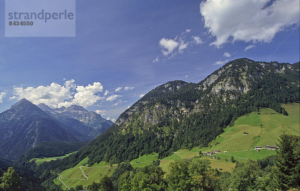 blauer Himmel  wolkenloser Himmel  wolkenlos  Europa  Berg  Wolke  Himmel  Hügel  Steilküste  Landwirtschaft  Tal  Alpen  blau  Wiese  steil  Österreich  Salzburg  Hang