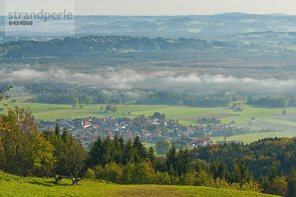 Europa  Landschaft  Nebel  Bayern  Chiemgau  Deutschland  Stimmung  Moor  Moos  Oberbayern