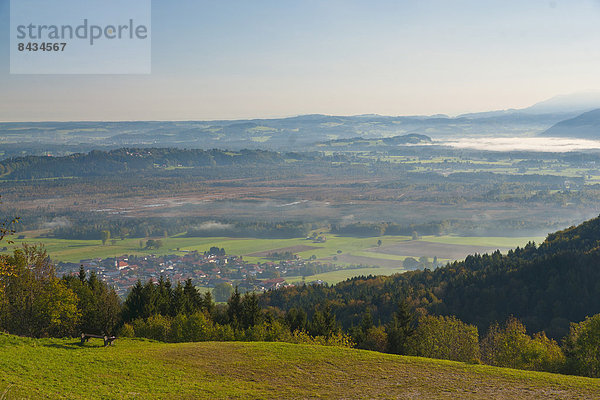 Europa  Landschaft  Nebel  Bayern  Chiemgau  Deutschland  Stimmung  Moor  Moos  Oberbayern