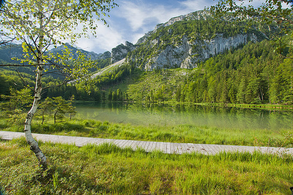 Naturschutzgebiet  Wasser  Europa  Berg  Landschaft  ruhen  Ruhe  See  Natur  Stille  Alpen  Bayern  Biotop  Chiemgau  Deutschland  Rest  Überrest  Oberbayern