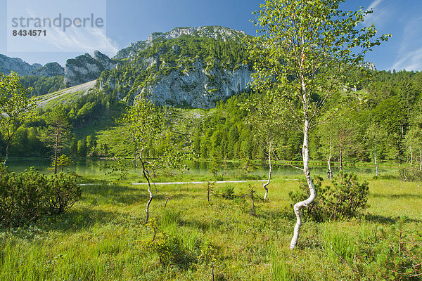 Naturschutzgebiet  Wasser  Europa  Berg  Landschaft  ruhen  Ruhe  See  Natur  Stille  Alpen  Bayern  Biotop  Chiemgau  Deutschland  Rest  Überrest  Oberbayern