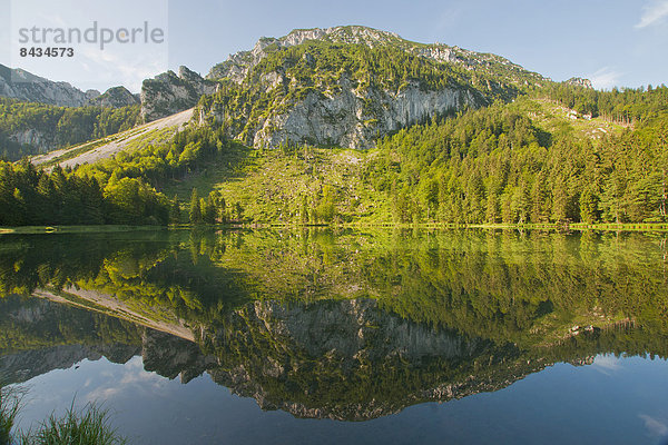 Naturschutzgebiet  Wasser  Europa  Berg  Landschaft  ruhen  Ruhe  Spiegelung  See  Natur  Stille  Alpen  Bayern  Biotop  Chiemgau  Deutschland  Rest  Überrest  Oberbayern