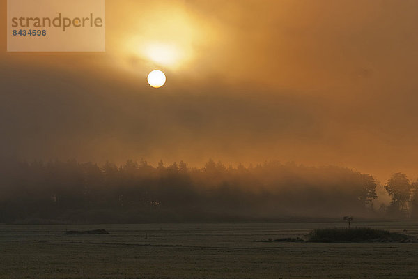 Europa  Morgen  Wärme  Sonnenaufgang  Rauch  Nebel  früh  Bayern  Deutschland  Stimmung  Sonne  Oberbayern
