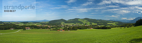 Blumenwiese blauer Himmel wolkenloser Himmel wolkenlos Europa Zorn Landwirtschaft Wald weiß Holz blau Wiese anbauen Bayern Deutschland Oberbayern