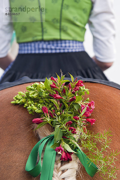Frau  Blume  Tradition  Kultur  Dekoration  Tracht  Mädchen  reiten - Pferd  mitfahren