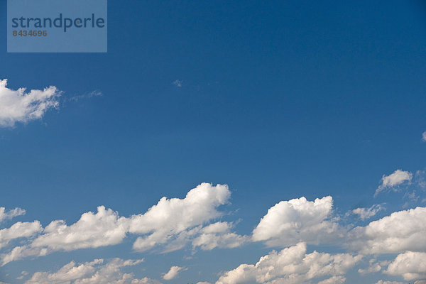 blauer Himmel  wolkenloser Himmel  wolkenlos  Haufenwolke  Europa  Wolke  Himmel  weiß  blau  Wolkengebilde  Deutschland  Wetter