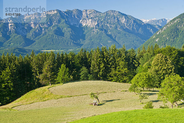 Landschaftlich schön  landschaftlich reizvoll  Europa  Landschaft  Landwirtschaft  Traktor  ernten  Nutzpflanze  Heu  anbauen  Wiese  Bayern  Berchtesgaden  Deutschland  Oberbayern