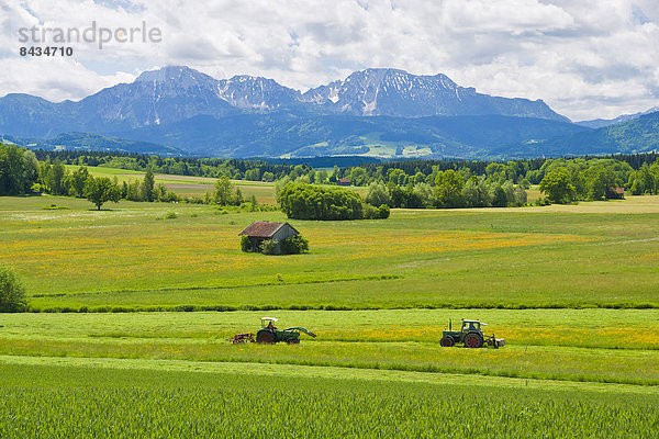 Europa  Sommer  rennen  Landwirtschaft  Traktor  Feld  Heu  Wiese  anbauen  Gras  Bayern  Deutschland  Oberbayern