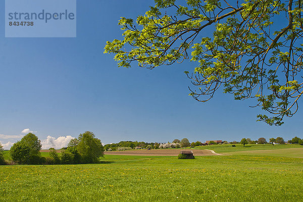 Landschaftlich schön  landschaftlich reizvoll  Europa  Landschaft  Landwirtschaft  Ländliches Motiv  ländliche Motive  Dorf  Scheune  Bayern  Deutschland  Oberbayern