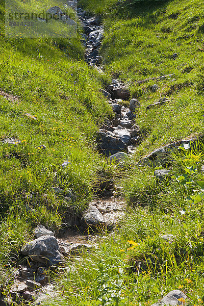 Nationalpark  Wasser  Europa  Fortbewegung  Landschaft  Beleuchtung  Licht  Natur  fließen  Bach  graben  gräbt  grabend  Gegenlicht  Bayern  Berchtesgaden  Deutschland  Oberbayern