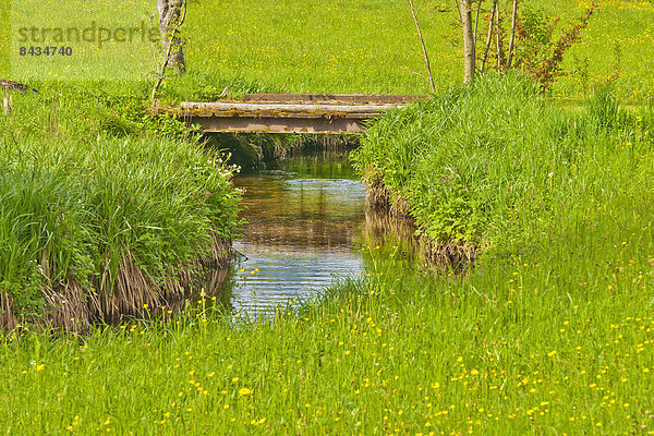 Fußgängerbrücke  Blumenwiese  Wasser  Europa  Fortbewegung  Landschaft  Beleuchtung  Licht  Brücke  Natur  fließen  Fluss  Bach  Gegenlicht  Bayern  Chiemgau  Deutschland  Oberbayern  Weg