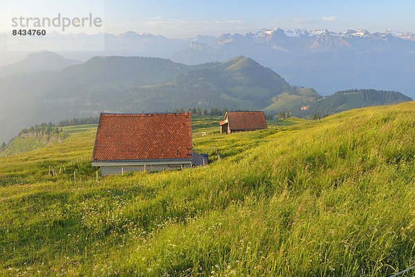 Panorama  Europa  Berg  Scheune  Wildblume  Alpen  Wiese  Gras  schweizerisch  Schweiz