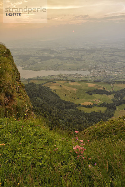 Hochformat  Landschaftlich schön  landschaftlich reizvoll  Europa  Berg  Sonnenuntergang  Landschaft  See  Natur  schweizerisch  Schweiz