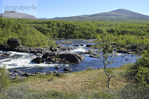 Felsbrocken  Fluss  Norwegen  Wildwasser  Hedmark