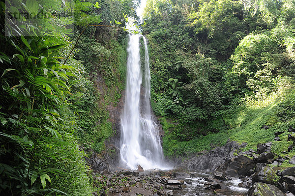 Strauch  Natur  Wasserfall  Asien  Indonesien