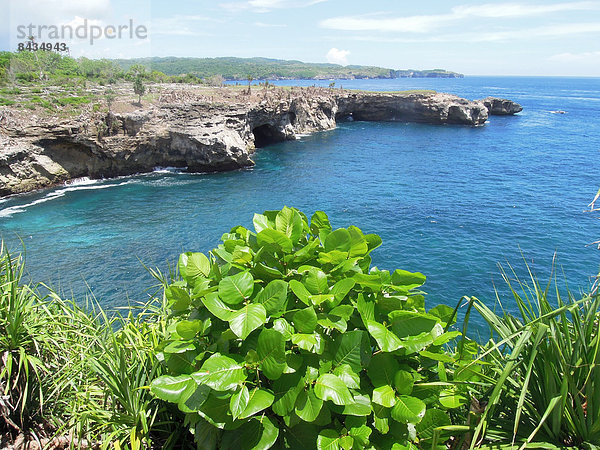 Steilküste  Küste  Meer  Asien  Indonesien