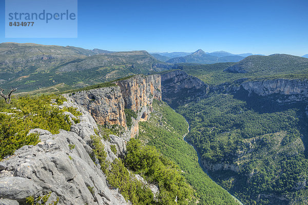 Landschaft  Alpes-de-Haute-Provence  Provence - Alpes-Cote d Azur  Frankreich  Europa