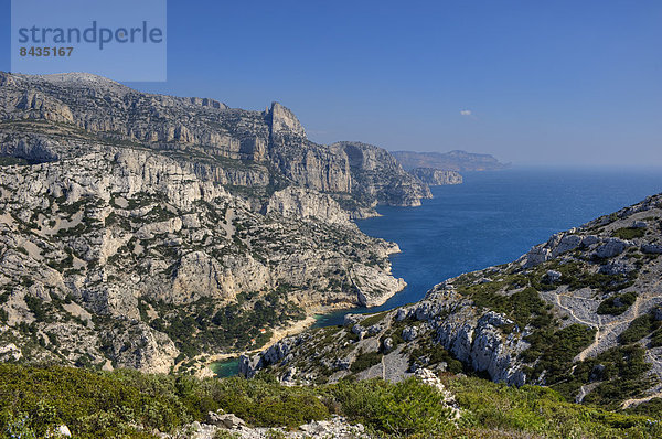 Calanques  Bouches-du-Rhone  Provence - Alpes-Cote d Azur  Frankreich  Europa