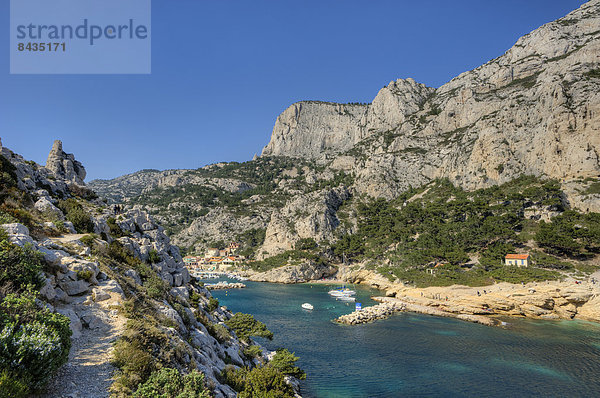 Calanques  Bouches-du-Rhone  Provence - Alpes-Cote d Azur  France  Europe