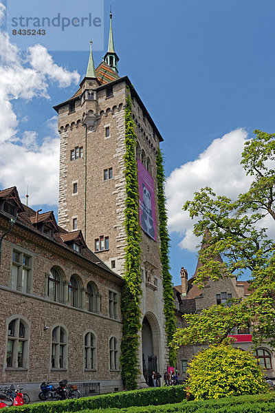 Detail  Details  Ausschnitt  Ausschnitte  Sehenswürdigkeit  Baustelle  Europa  Palast  Schloß  Schlösser  Gebäude  Architektur  Geschichte  Turm  Pflanze  Museum  Altstadt  Schweizerisches Nationalmuseum  Schweiz  Tourismus  Zürich