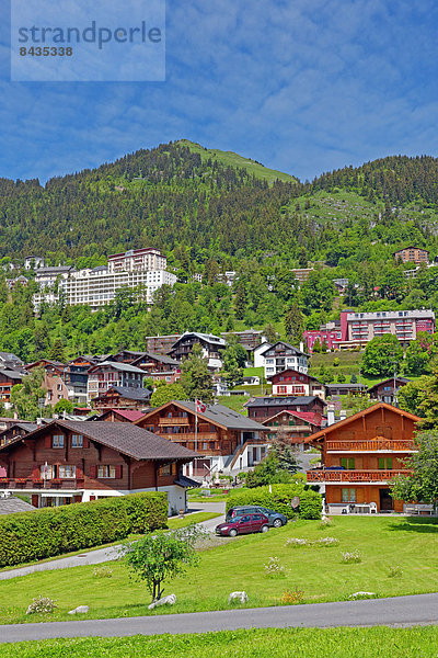 Panorama  Landschaftlich schön  landschaftlich reizvoll  Baustelle  Europa  Berg  Verkehr  Baum  Landschaft  Gebäude  Pflanze  Fahne  Chalet  Schiff  Weg  Leysin  Platz  Schweiz  Tourismus