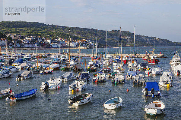 Europa  Strand  britisch  Großbritannien  Küste  Meer  UNESCO-Welterbe  Lyme Regis  Dorset  England