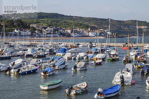 Europa  Strand  britisch  Großbritannien  Küste  Meer  UNESCO-Welterbe  Lyme Regis  Dorset  England