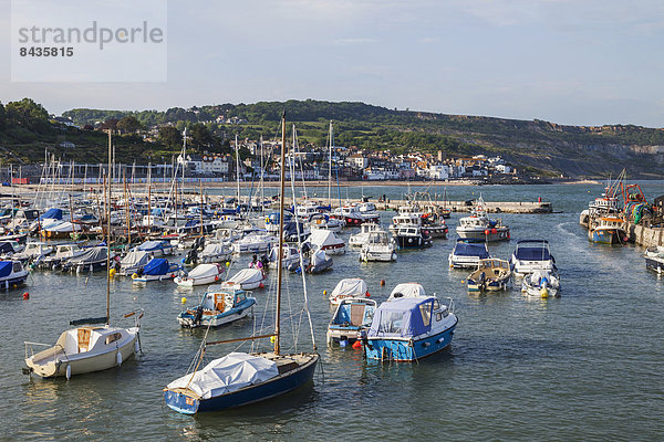 Europa  Strand  britisch  Großbritannien  Küste  Meer  UNESCO-Welterbe  Lyme Regis  Dorset  England