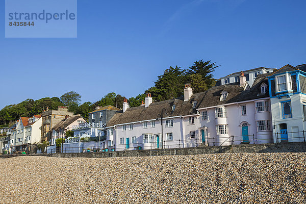 Europa Strand britisch Großbritannien Gebäude Küste Meer Kieselstein UNESCO-Welterbe Lyme Regis Dorset England