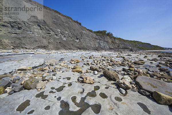 Felsbrocken  Europa  Strand  britisch  Großbritannien  Küste  Meer  UNESCO-Welterbe  Lyme Regis  Ammonit  Dorset  England  Fossil