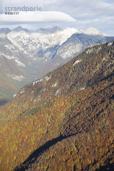 Velika Planina  Kamniker Alpen  Slowenien  Europa