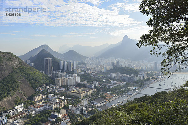 Stadtansicht  Stadtansichten  Städtisches Motiv  Städtische Motive  Straßenszene  Straßenszene  Großstadt  Ansicht  Brasilien  Rio de Janeiro  Südamerika